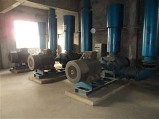 南非訂制羅茨風機_萬豪羅茨風機